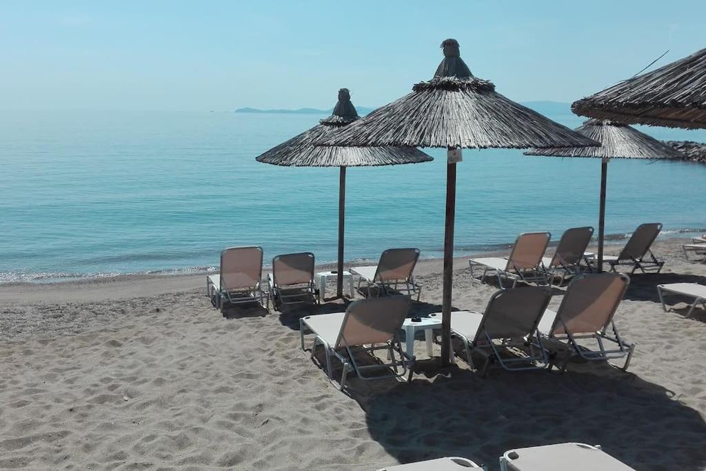 Cosy House Stratoni Chalkidiki 300M From Beach ภายนอก รูปภาพ